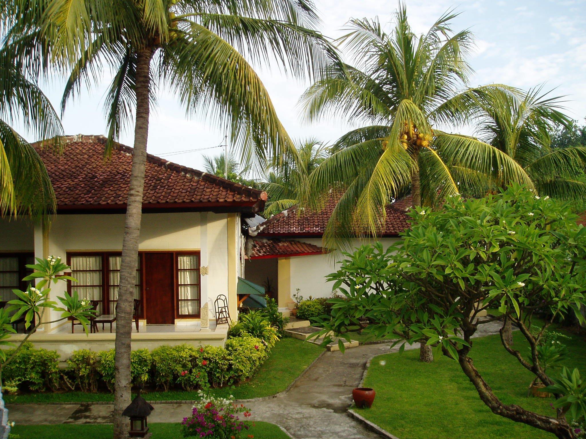 ���i�C���[�W