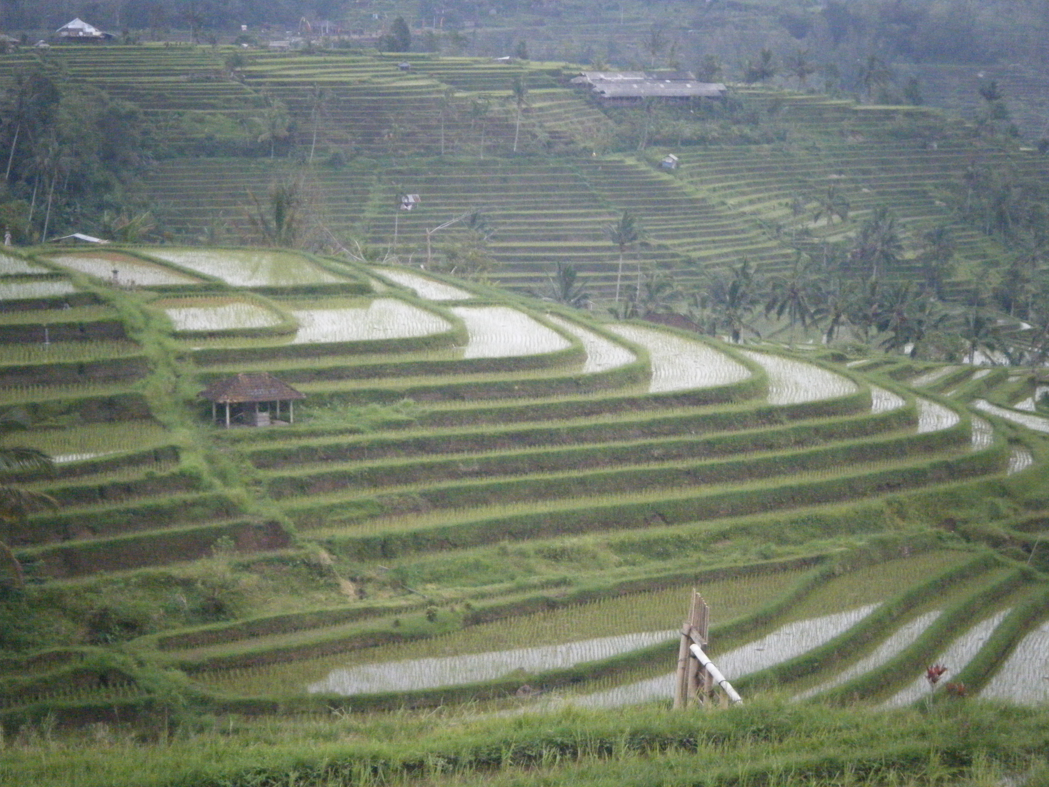 ���i�C���[�W4